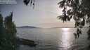 ./images/koeye/fitz-hugh/20260502/fitz-hugh20260502_184002M.jpg