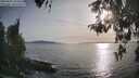./images/koeye/fitz-hugh/20260502/fitz-hugh20260502_184501M.jpg
