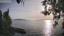 ./images/koeye/fitz-hugh/20260502/fitz-hugh20260502_185001M.jpg