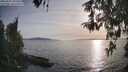 ./images/koeye/fitz-hugh/20260502/fitz-hugh20260502_185501M.jpg