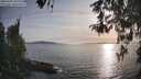 ./images/koeye/fitz-hugh/20260502/fitz-hugh20260502_190001M.jpg