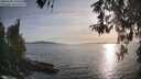 ./images/koeye/fitz-hugh/20260502/fitz-hugh20260502_190501M.jpg