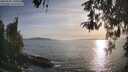 ./images/koeye/fitz-hugh/20260502/fitz-hugh20260502_191001M.jpg