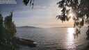 ./images/koeye/fitz-hugh/20260502/fitz-hugh20260502_191501M.jpg