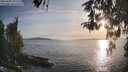 ./images/koeye/fitz-hugh/20260502/fitz-hugh20260502_192002M.jpg