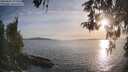 ./images/koeye/fitz-hugh/20260502/fitz-hugh20260502_192501M.jpg