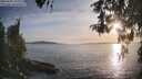 ./images/koeye/fitz-hugh/20260502/fitz-hugh20260502_193002M.jpg