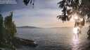 ./images/koeye/fitz-hugh/20260502/fitz-hugh20260502_194001M.jpg