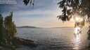 ./images/koeye/fitz-hugh/20260502/fitz-hugh20260502_195001M.jpg