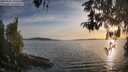 ./images/koeye/fitz-hugh/20260502/fitz-hugh20260502_195501M.jpg