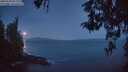 ./images/koeye/fitz-hugh/20260503/fitz-hugh20260503_052001M.jpg