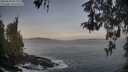 ./images/koeye/fitz-hugh/20260503/fitz-hugh20260503_062002M.jpg