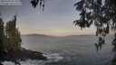./images/koeye/fitz-hugh/20260503/fitz-hugh20260503_062501M.jpg