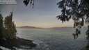 ./images/koeye/fitz-hugh/20260503/fitz-hugh20260503_063501M.jpg