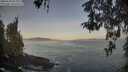 ./images/koeye/fitz-hugh/20260503/fitz-hugh20260503_064001M.jpg