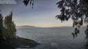 ./images/koeye/fitz-hugh/20260503/fitz-hugh20260503_070001M.jpg