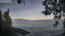 ./images/koeye/fitz-hugh/20260503/fitz-hugh20260503_071002M.jpg