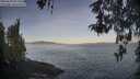 ./images/koeye/fitz-hugh/20260503/fitz-hugh20260503_072001M.jpg