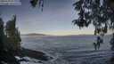 ./images/koeye/fitz-hugh/20260503/fitz-hugh20260503_073001M.jpg
