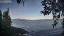 ./images/koeye/fitz-hugh/20260503/fitz-hugh20260503_074001M.jpg