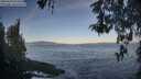 ./images/koeye/fitz-hugh/20260503/fitz-hugh20260503_074501M.jpg