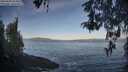 ./images/koeye/fitz-hugh/20260503/fitz-hugh20260503_075001M.jpg