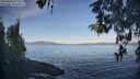./images/koeye/fitz-hugh/20260503/fitz-hugh20260503_075502M.jpg