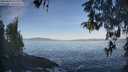 ./images/koeye/fitz-hugh/20260503/fitz-hugh20260503_080002M.jpg