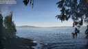 ./images/koeye/fitz-hugh/20260503/fitz-hugh20260503_080501M.jpg