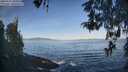 ./images/koeye/fitz-hugh/20260503/fitz-hugh20260503_081001M.jpg