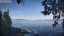 ./images/koeye/fitz-hugh/20260503/fitz-hugh20260503_081501M.jpg