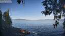 ./images/koeye/fitz-hugh/20260503/fitz-hugh20260503_082001M.jpg