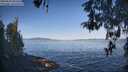 ./images/koeye/fitz-hugh/20260503/fitz-hugh20260503_082501M.jpg