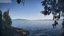 ./images/koeye/fitz-hugh/20260503/fitz-hugh20260503_083001M.jpg
