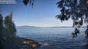 ./images/koeye/fitz-hugh/20260503/fitz-hugh20260503_083501M.jpg