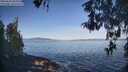 ./images/koeye/fitz-hugh/20260503/fitz-hugh20260503_084001M.jpg