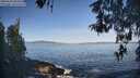 ./images/koeye/fitz-hugh/20260503/fitz-hugh20260503_084501M.jpg