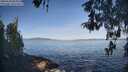 ./images/koeye/fitz-hugh/20260503/fitz-hugh20260503_085001M.jpg