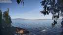 ./images/koeye/fitz-hugh/20260503/fitz-hugh20260503_085501M.jpg