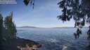 ./images/koeye/fitz-hugh/20260503/fitz-hugh20260503_091501M.jpg