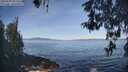 ./images/koeye/fitz-hugh/20260503/fitz-hugh20260503_092501M.jpg