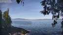 ./images/koeye/fitz-hugh/20260503/fitz-hugh20260503_093502M.jpg