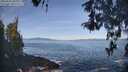 ./images/koeye/fitz-hugh/20260503/fitz-hugh20260503_094001M.jpg