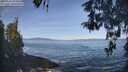 ./images/koeye/fitz-hugh/20260503/fitz-hugh20260503_094501M.jpg