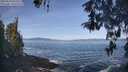 ./images/koeye/fitz-hugh/20260503/fitz-hugh20260503_095502M.jpg