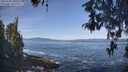 ./images/koeye/fitz-hugh/20260503/fitz-hugh20260503_100501M.jpg