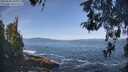 ./images/koeye/fitz-hugh/20260503/fitz-hugh20260503_101001M.jpg