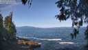 ./images/koeye/fitz-hugh/20260503/fitz-hugh20260503_102002M.jpg