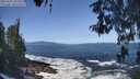 ./images/koeye/fitz-hugh/20260503/fitz-hugh20260503_105501M.jpg
