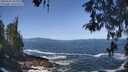 ./images/koeye/fitz-hugh/20260503/fitz-hugh20260503_110002M.jpg